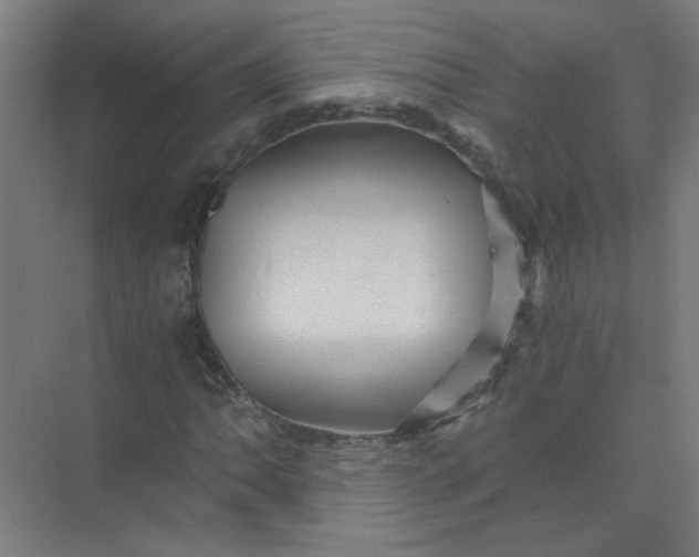 X0000073981062200609051905