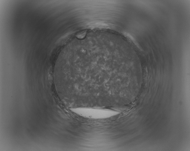 X0000073981063200609051905