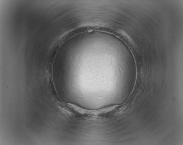 X0000073981064200609051905