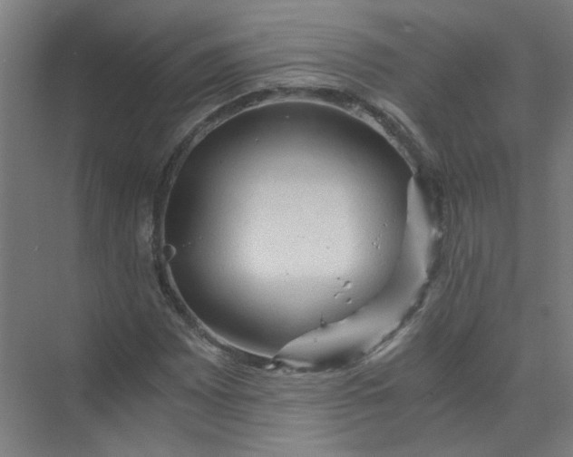 X0000073981065200609051905