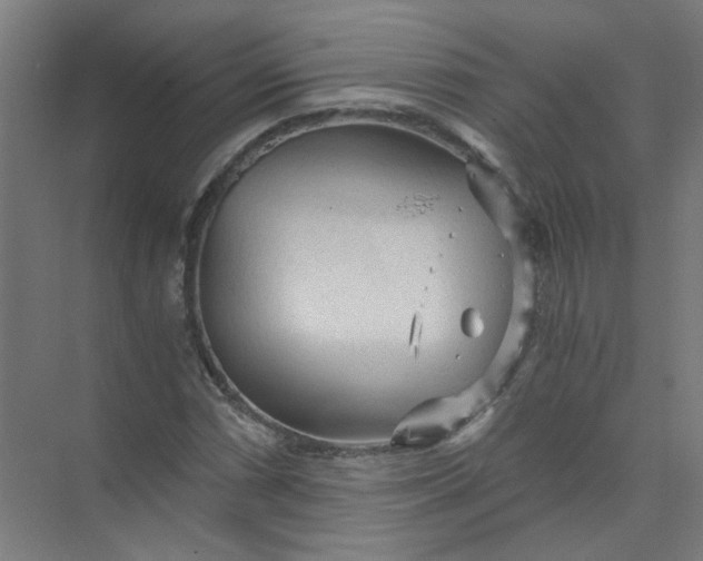 X0000073981066200609051905