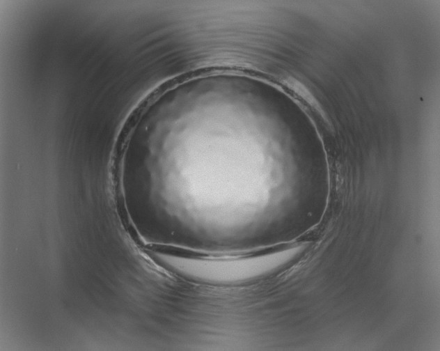 X0000073981068200609051905