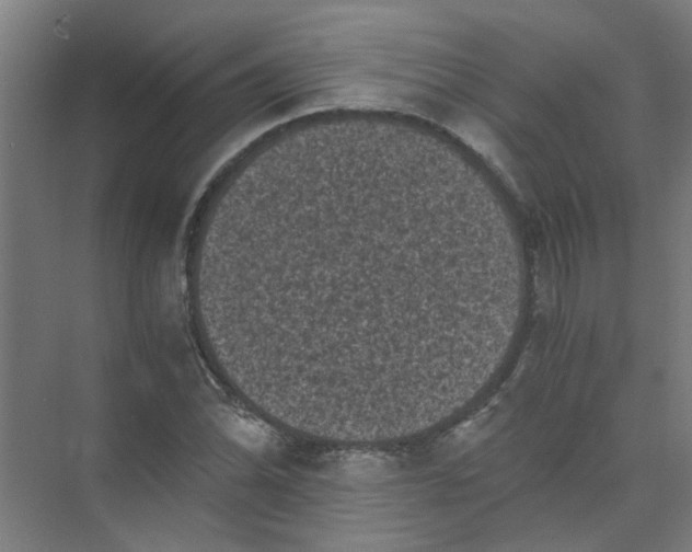 X0000073981070200609051905