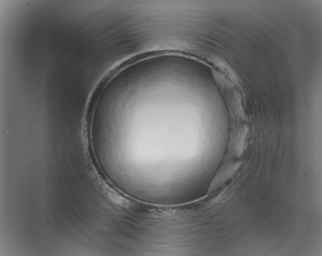 X0000073981072200609051905