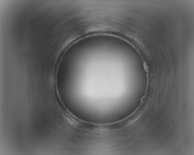 X0000073981073200609051905