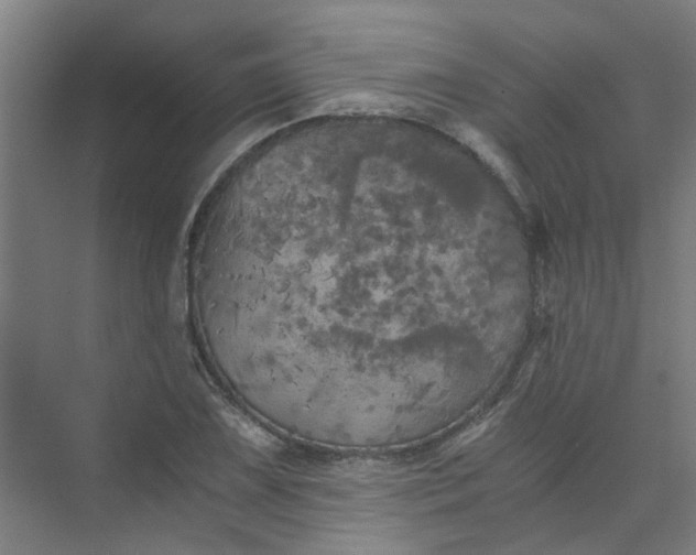 X0000073981075200609051905