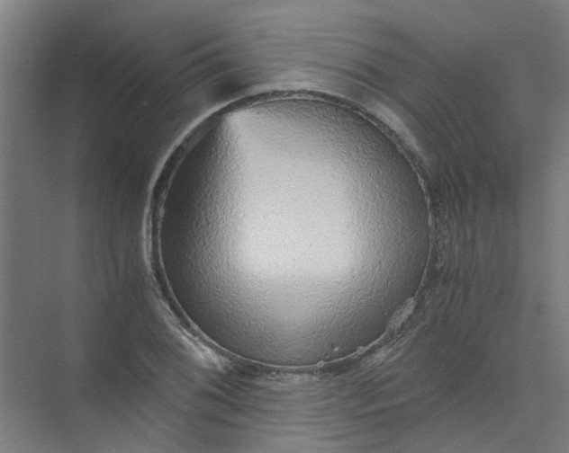 X0000073981076200609051905