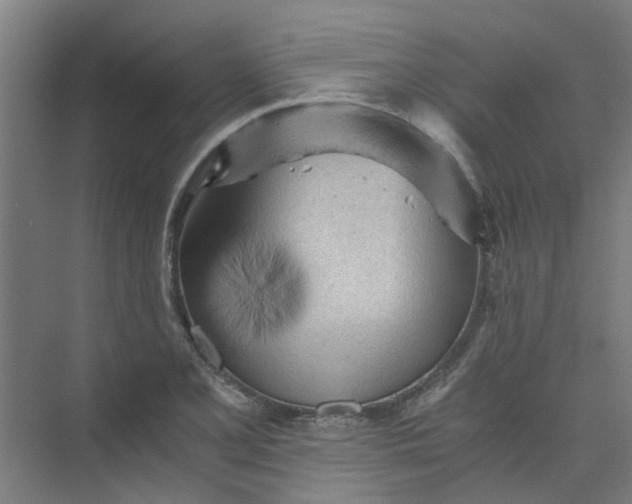 X0000073981077200609051905