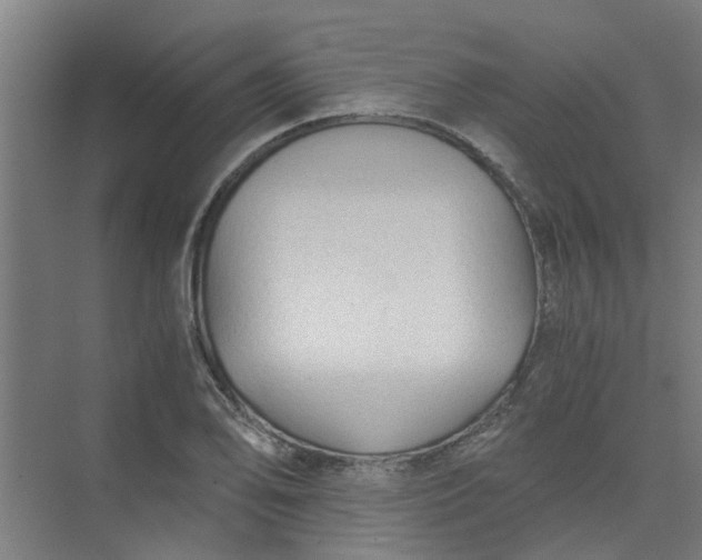 X0000073981078200609051905