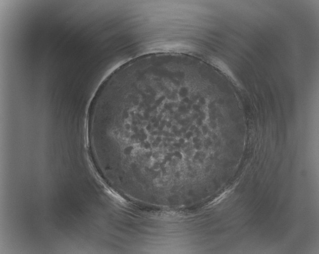 X0000073981079200609051905