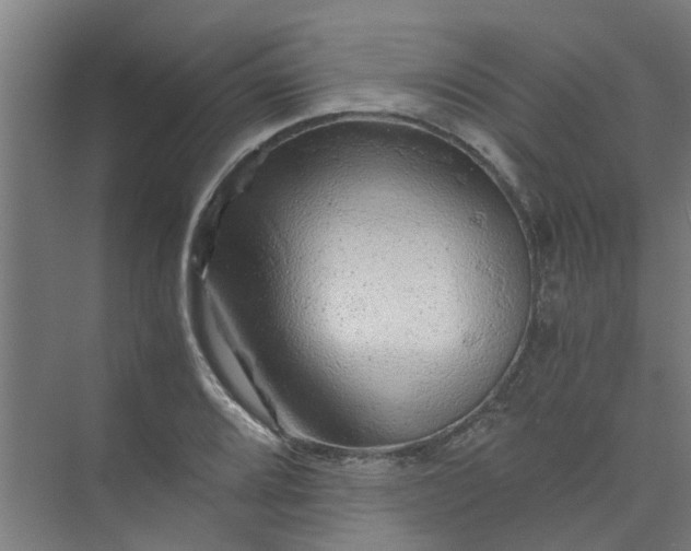 X0000073981080200609051905