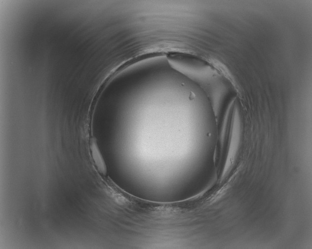 X0000073981081200609051905