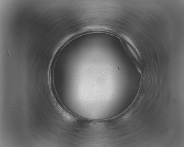 X0000073981082200609051905