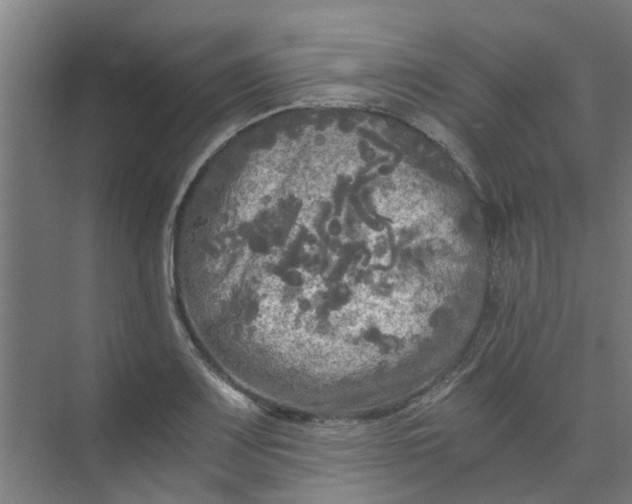 X0000073981083200609051905