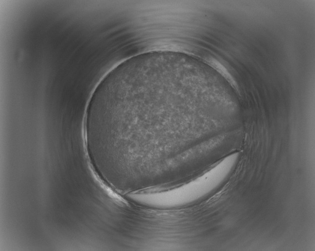 X0000073981084200609051905