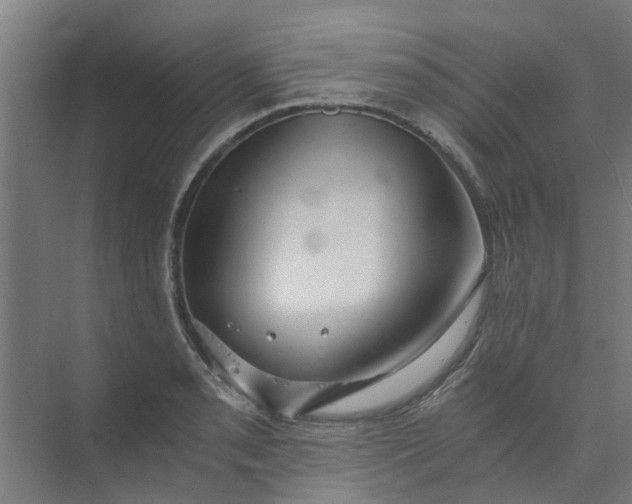 X0000073981085200609051905