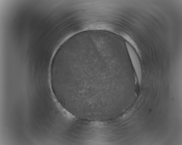 X0000073981088200609051905