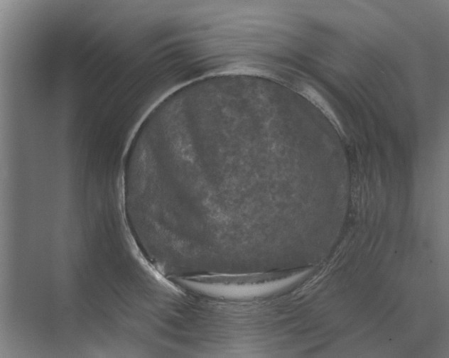 X0000073981092200609051905