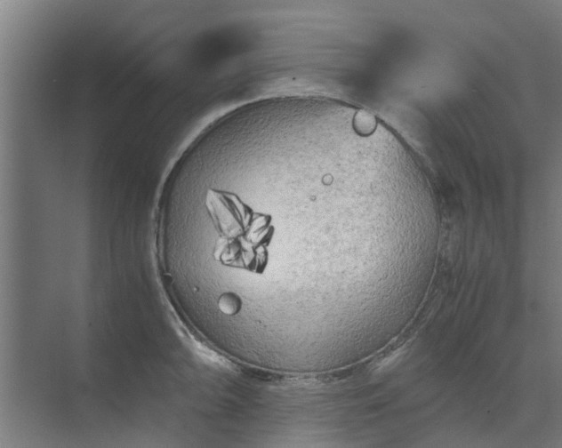 X0000073981094200609051905