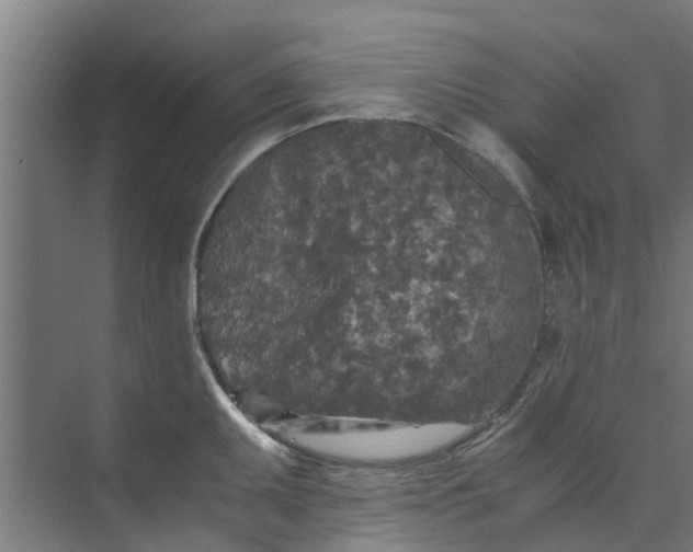 X0000073981095200609051905