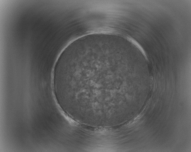 X0000073981099200609051904