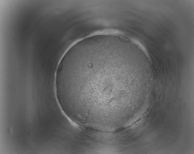 X0000073981103200609051904