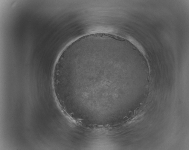 X0000073981104200609051904