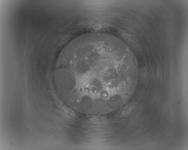 X0000073981105200609051904