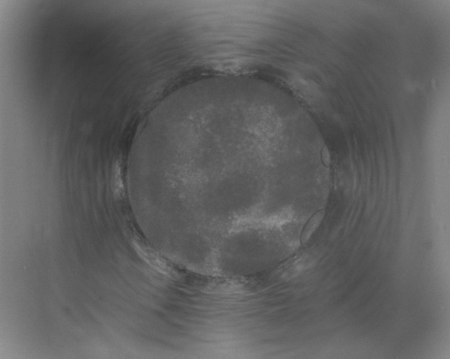 X0000073981106200609051904