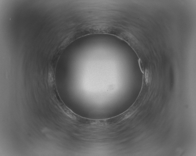 X0000073981107200609051904