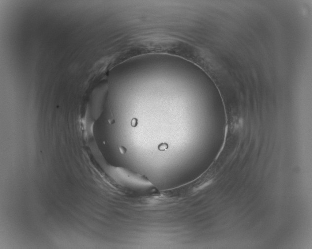 X0000073981108200609051904