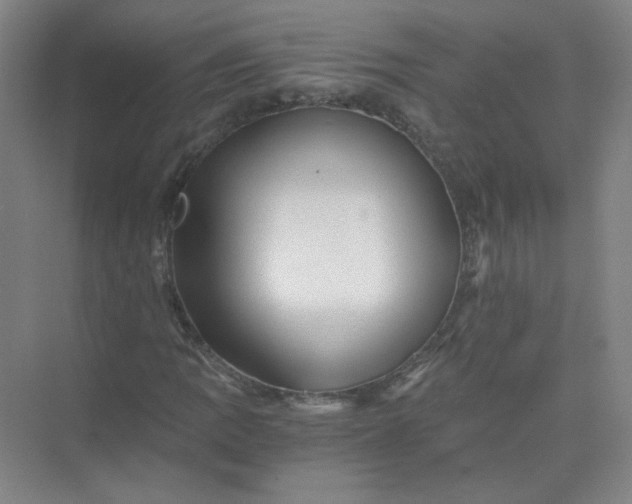 X0000073981109200609051904