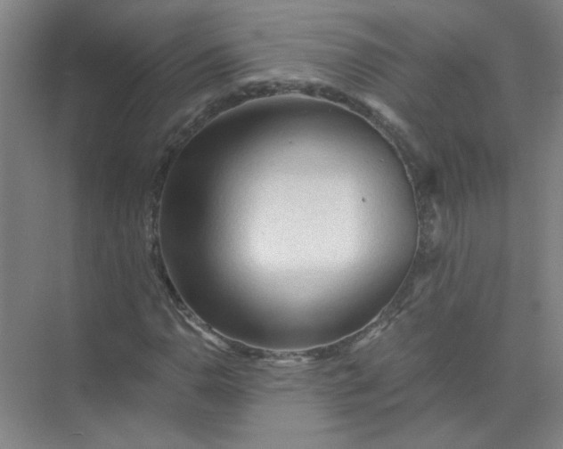 X0000073981110200609051904