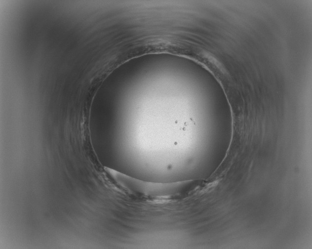 X0000073981111200609051904