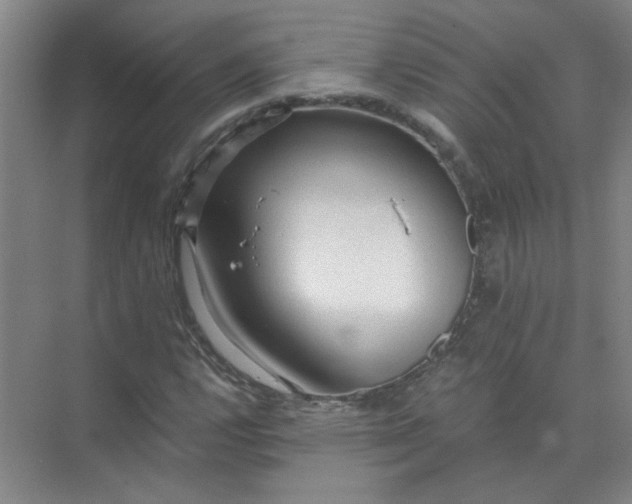 X0000073981112200609051904