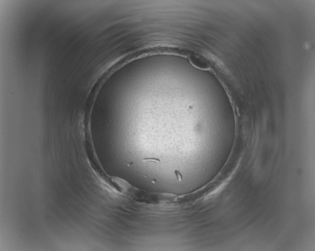 X0000073981113200609051904