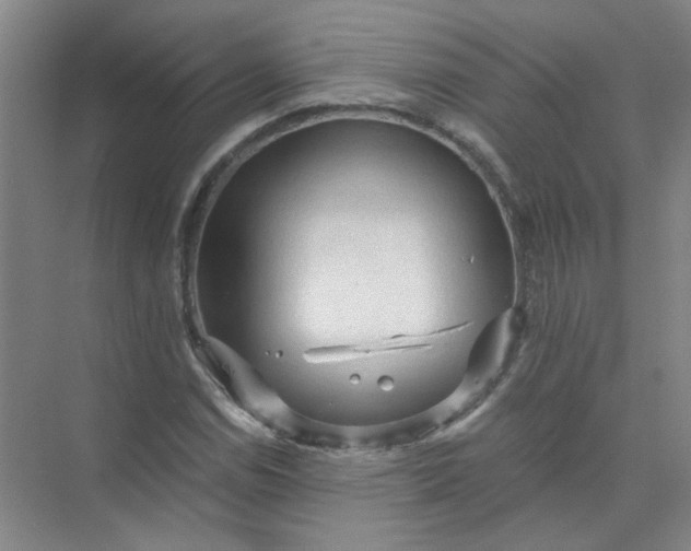 X0000073981114200609051904