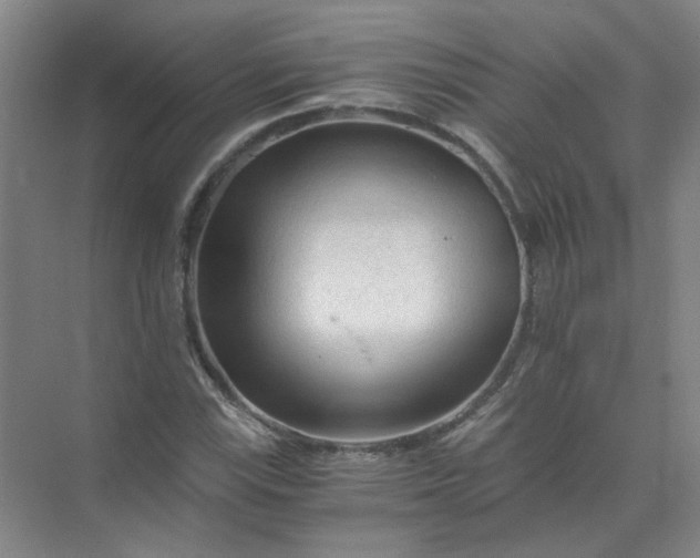 X0000073981115200609051904