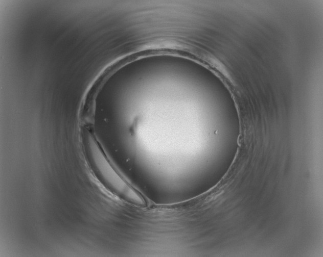 X0000073981116200609051904