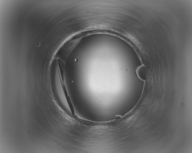 X0000073981118200609051904