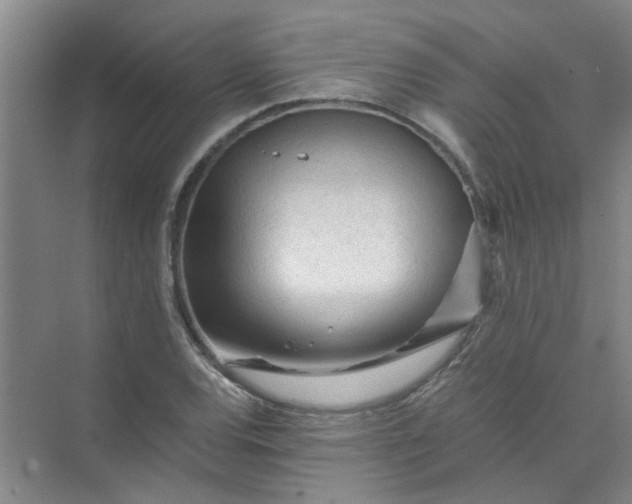 X0000073981120200609051904