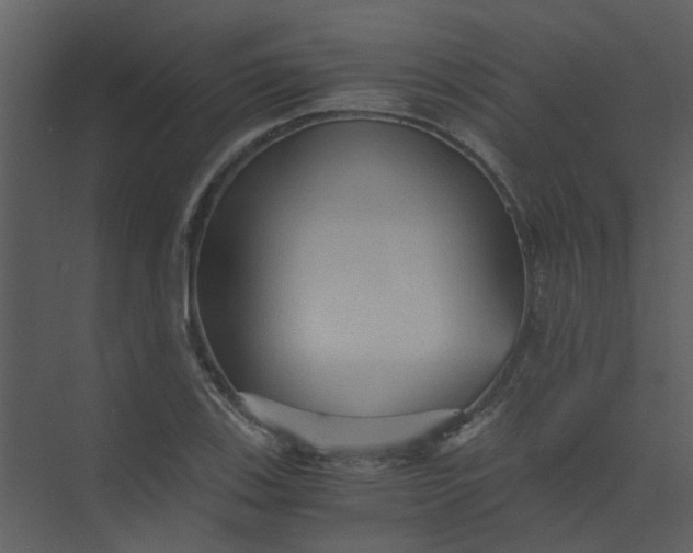 X0000073981123200609051904