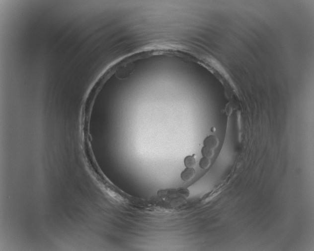 X0000073981124200609051904