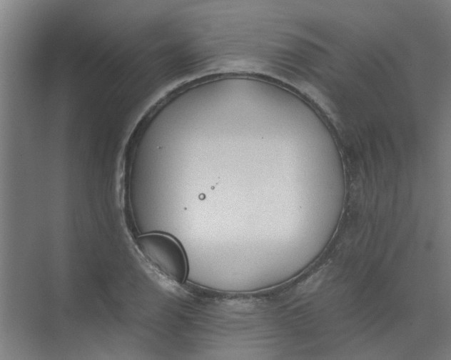 X0000073981126200609051904