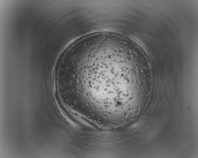 X0000073981127200609051904