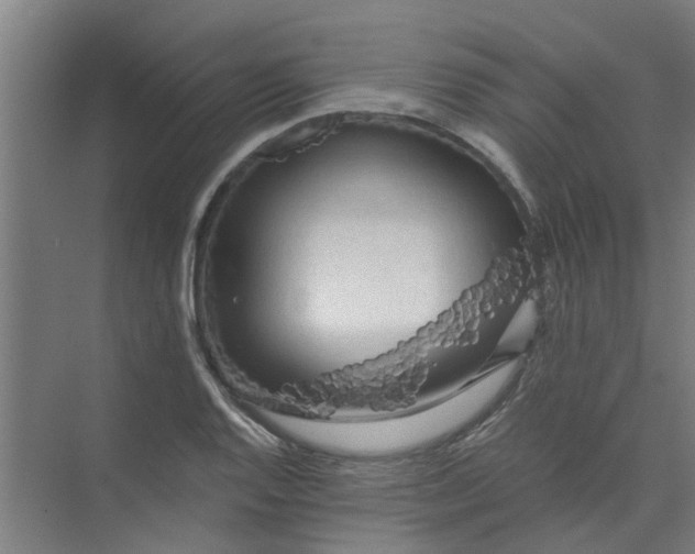 X0000073981128200609051904