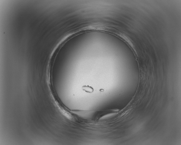 X0000073981131200609051904