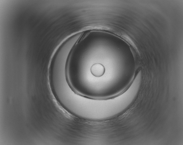 X0000073981132200609051904