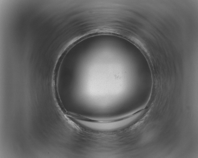 X0000073981133200609051904