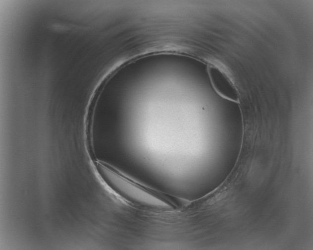 X0000073981135200609051904